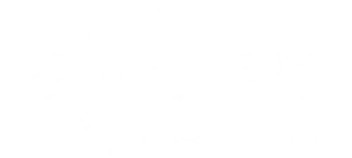 La dama y el vagabundo