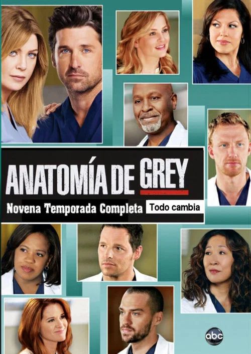 Anatomía según Grey: Temporada 9
