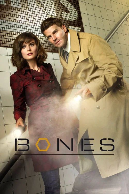 Bones: Temporada 7