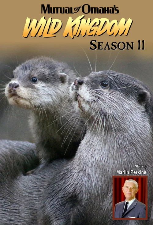Mutual of Omaha's Wild Kingdom: Temporada 11