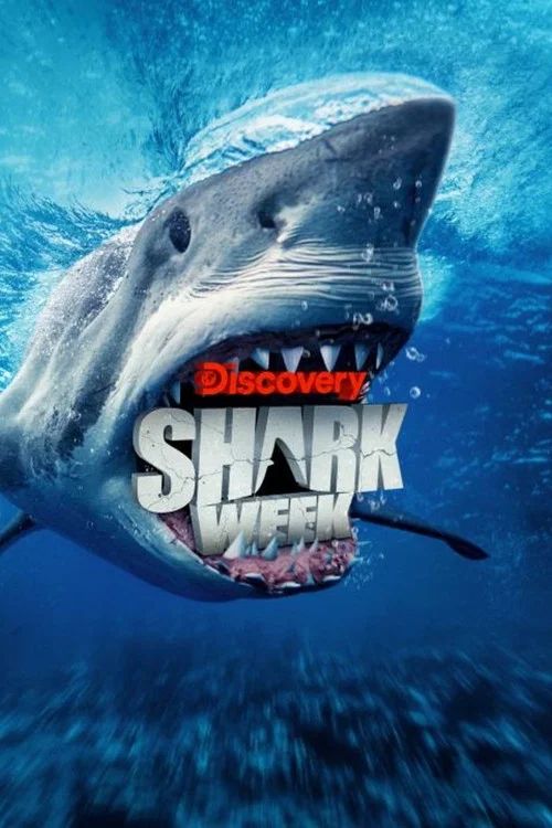 Shark Week 30 Años: Temporada 38