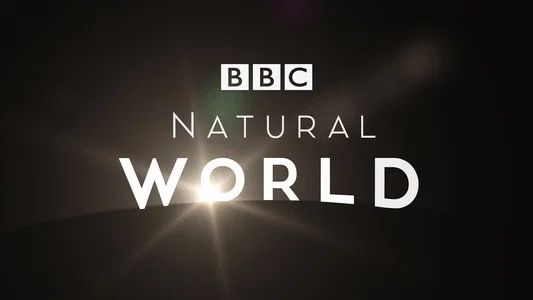 Foto de Natural World