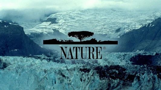 Foto de Nature