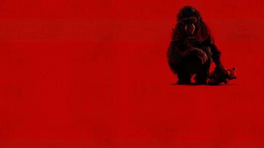 Foto de Primate
