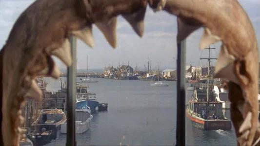 Foto de Tiburón