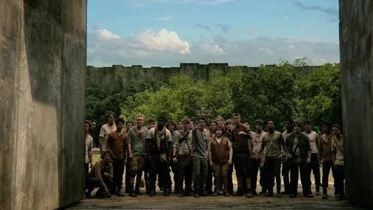 Foto de Maze Runner: Correr o morir