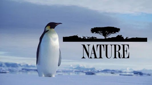 Foto de Nature