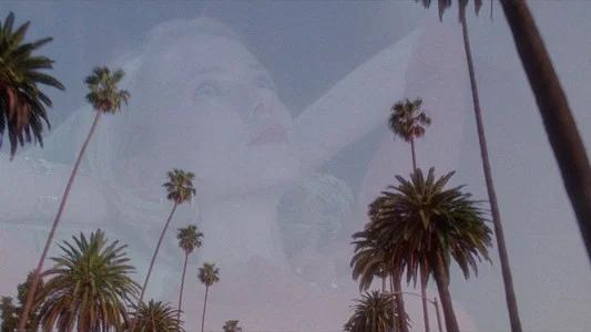 Foto de Mulholland Drive: Sueños, misterios y secretos