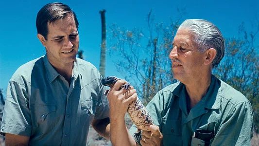 Foto de Mutual of Omaha's Wild Kingdom
