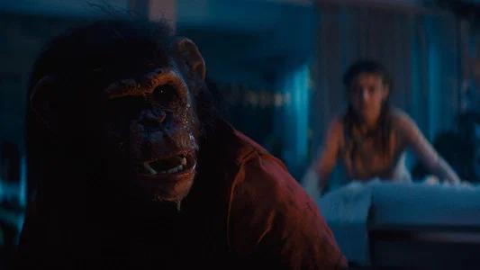 Foto de Primate