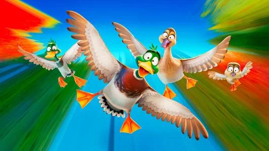 Foto de ¡Patos!