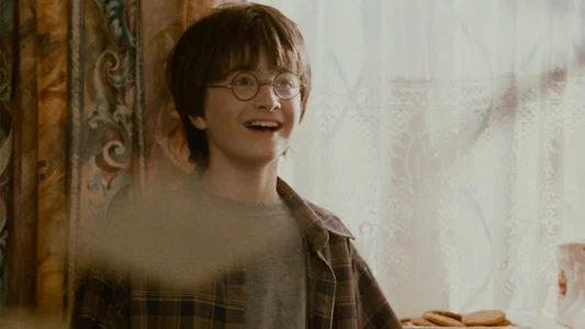Foto de Harry Potter y la piedra filosofal