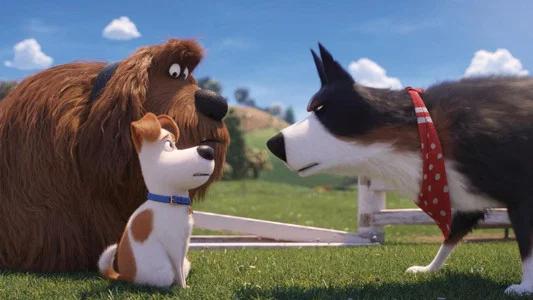 Foto de La Vida Secreta De Tus Mascotas 2
