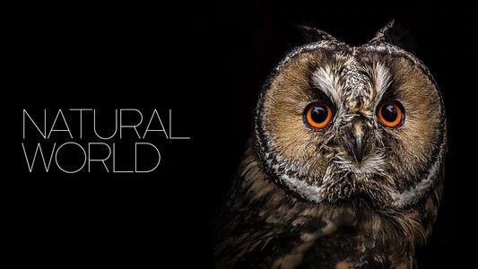 Foto de Natural World