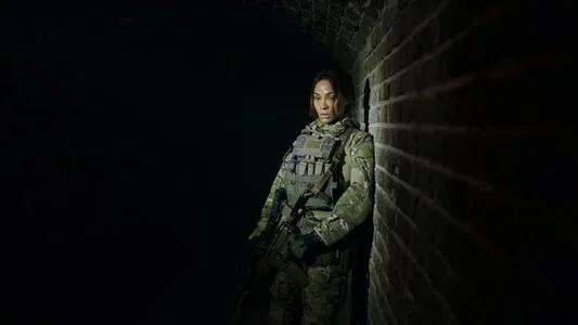 Foto de Operativo: Lioness