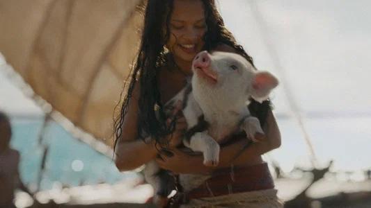 Foto de Moana