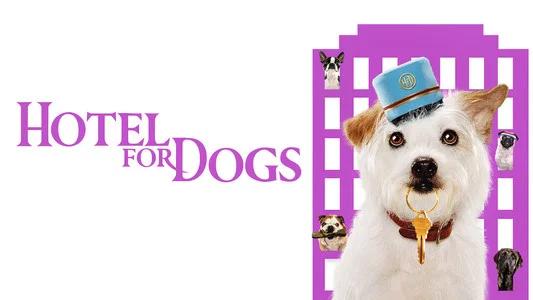 Foto de Hotel para Perros