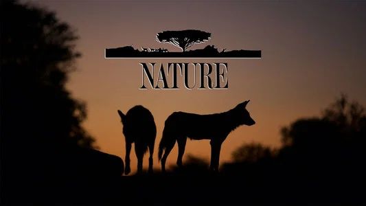 Foto de Nature