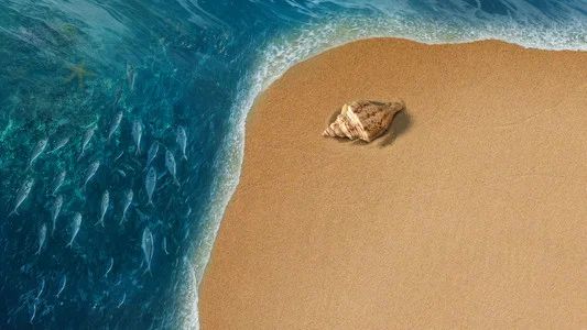 Foto de Moana