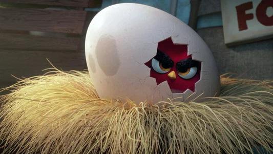 Foto de Angry Birds: La Película