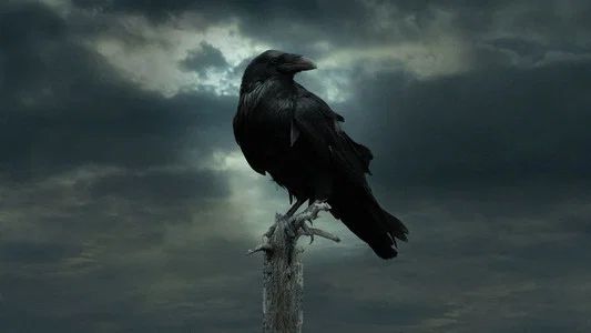 Foto de Game of Thrones
