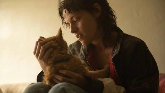 Foto de Amor, Mentiras y Sangre