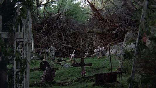 Foto de Cementerio de mascotas