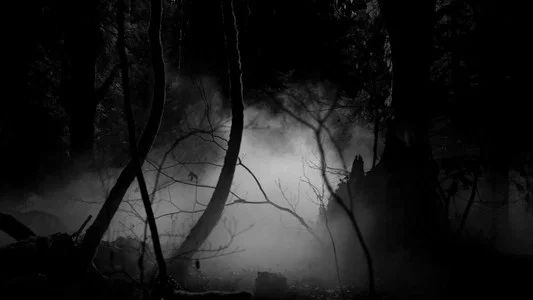 Foto de Diarios de Vampiros