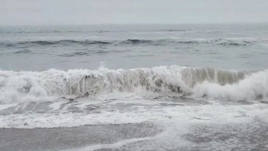 Foto de Duna: Parte dos