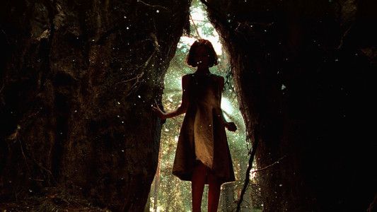 Foto de El laberinto del fauno