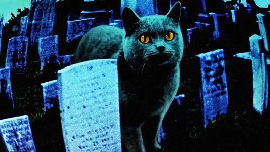 Foto de Cementerio de mascotas