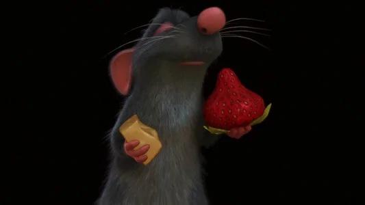 Foto de Ratatouille