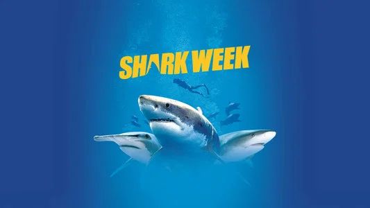 Foto de Shark Week 30 Años