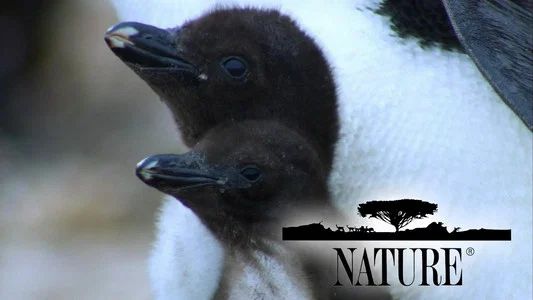 Foto de Nature