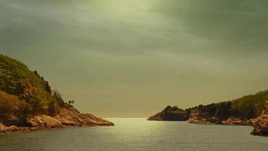 Foto de Moonrise Kingdom: Amor Infantil