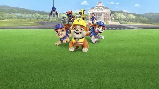 Foto de Rubble y Equipo