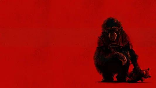 Foto de Primate