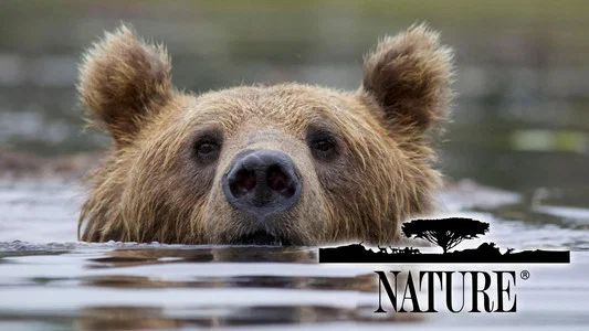 Foto de Nature