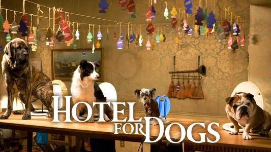 Foto de Hotel para Perros