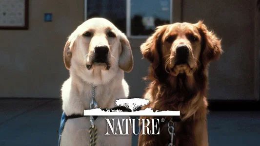 Foto de Nature