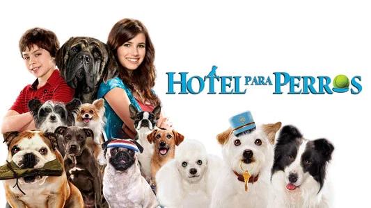 Foto de Hotel para Perros
