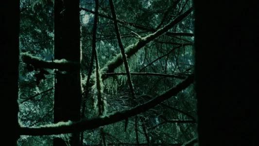 Foto de Crepúsculo