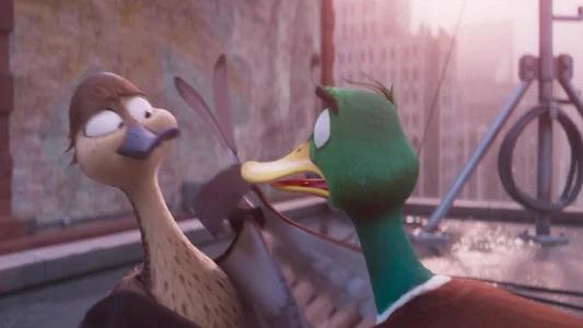 Foto de ¡Patos!