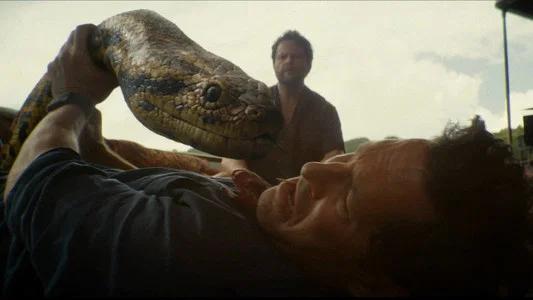 Foto de Anaconda