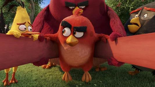Foto de Angry Birds: La Película