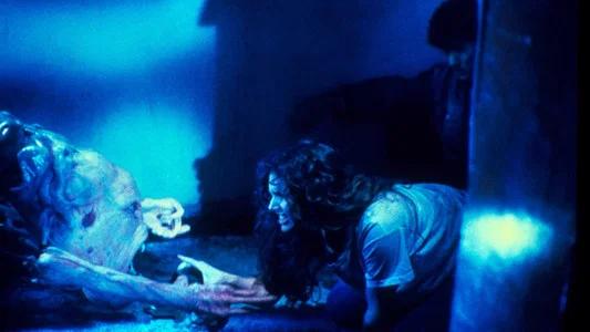 Foto de Hellraiser: Puerta al infierno