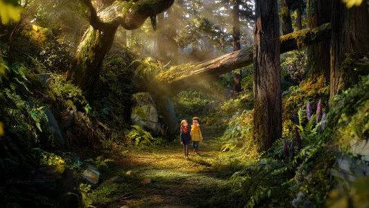 Foto de El Bosque Salvaje: Wildwood
