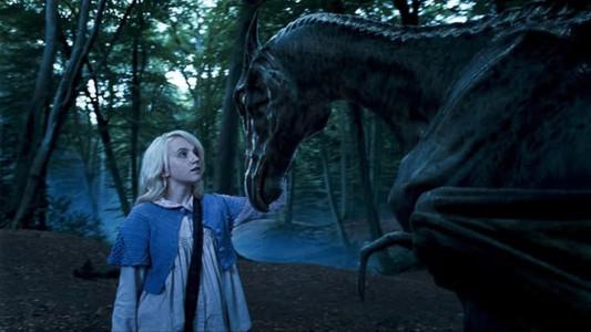 Foto de Harry Potter y la orden del Fénix