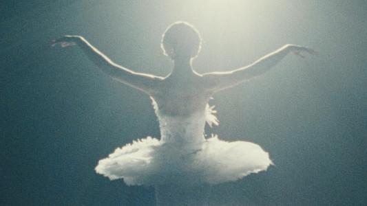 Foto de El cisne negro