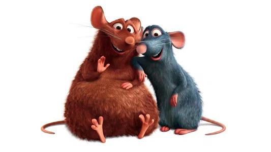 Foto de Ratatouille